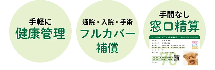 手軽に健康管理/通院・入院・手術フルカバー補償/手間なし窓口精算