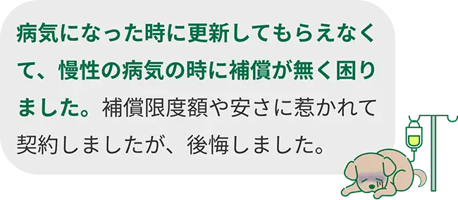 病気になった時に更新してもらえなくて、慢性の病気の時に補償が無く困りました。補償限度額や安さに惹かれて契約しましたが、後悔しました。