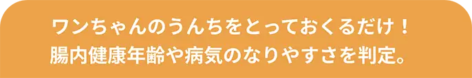 ワンちゃんのうんちをとっておくるだけ！腸内健康年齢や病気のなりやすさを判定。