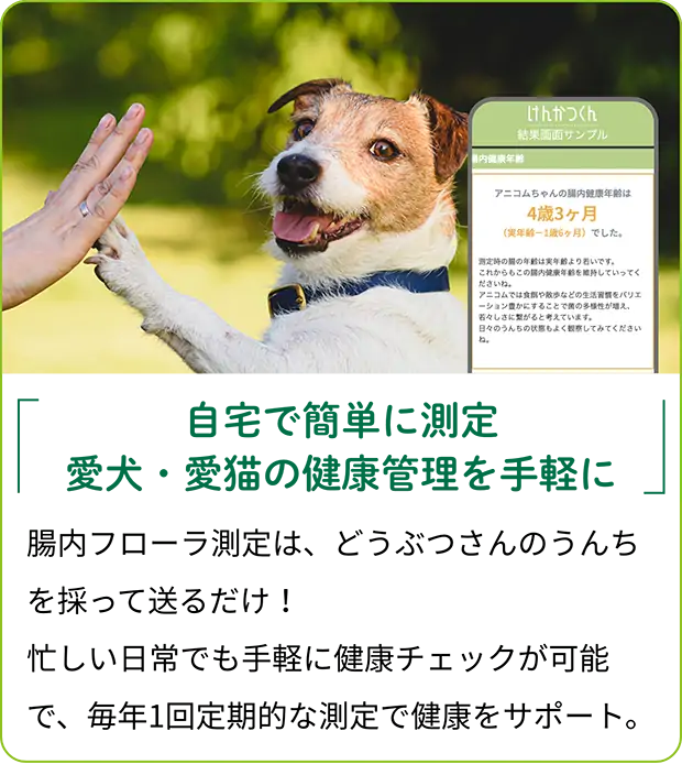 自宅で簡単に測定愛犬・愛猫の健康管理を手軽に