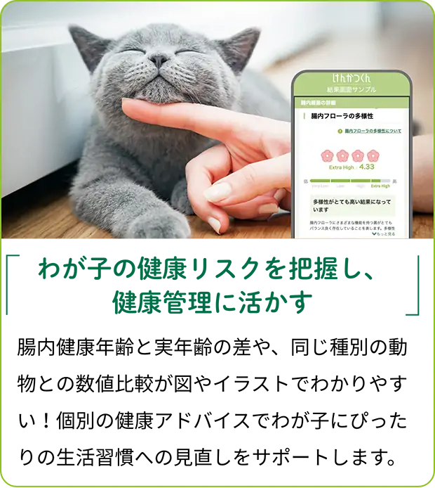 腸内フローラ測定で健康状態を見える化