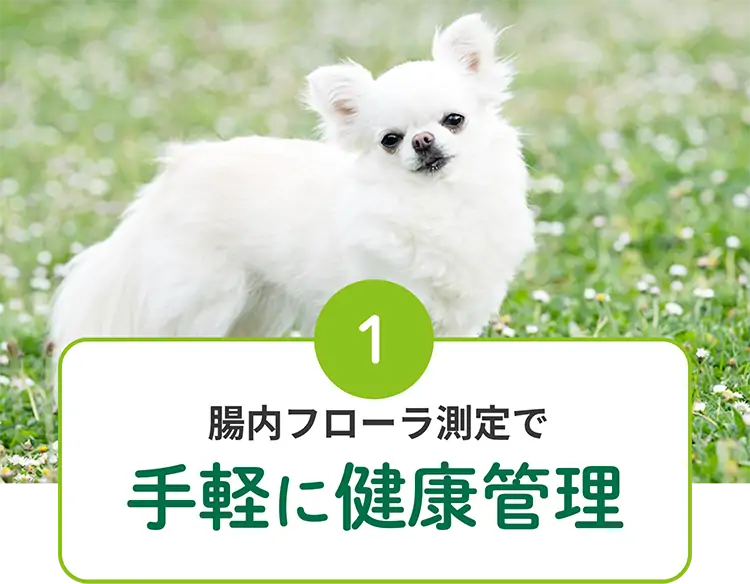 1 腸内フローラ測定で手軽に健康管理