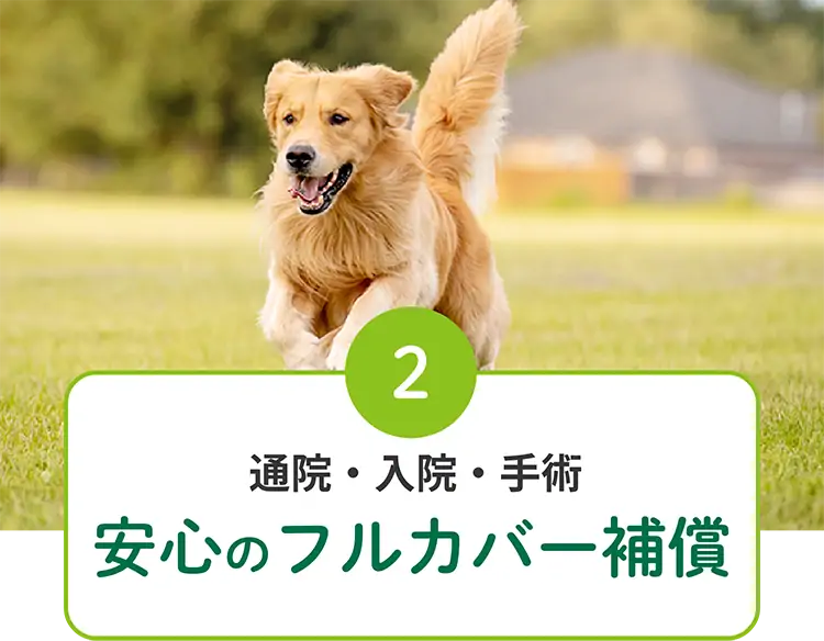 2 通院・入院・手術 安心のフルカバー補償