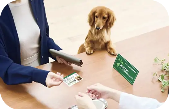 どうぶつ健康保険証を見せるだけ窓口精算