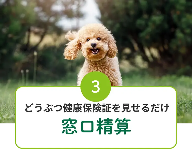 3 どうぶつ健康保険証を見せるだけ窓口精算
