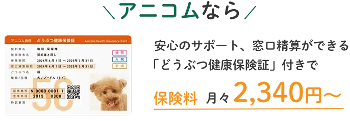 アニコムなら安心のサポート、窓口精算ができる「どうぶつ健康保険証」付きで保険料月々2,340円〜