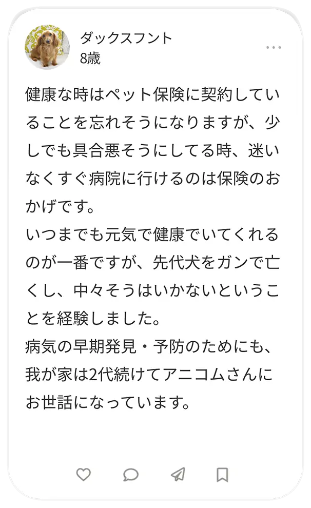ゴールデンレトリバー 8歳