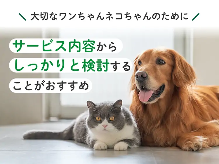 大切なワンちゃんネコちゃんのために サービス内容からしっかりと検討することがおすすめ