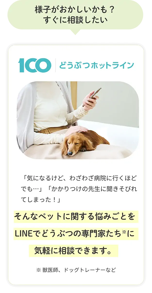 様子がおかしいかも？すぐに相談したい