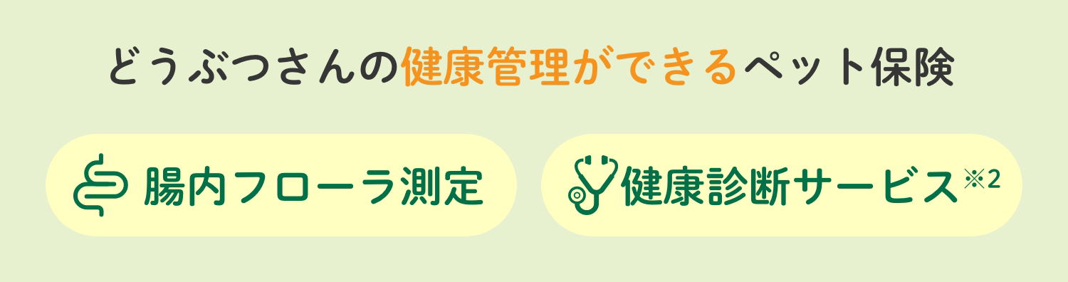 どうぶつさんの健康管理ができるペット保険 腸内フローラ測定 健康診断サービス※2