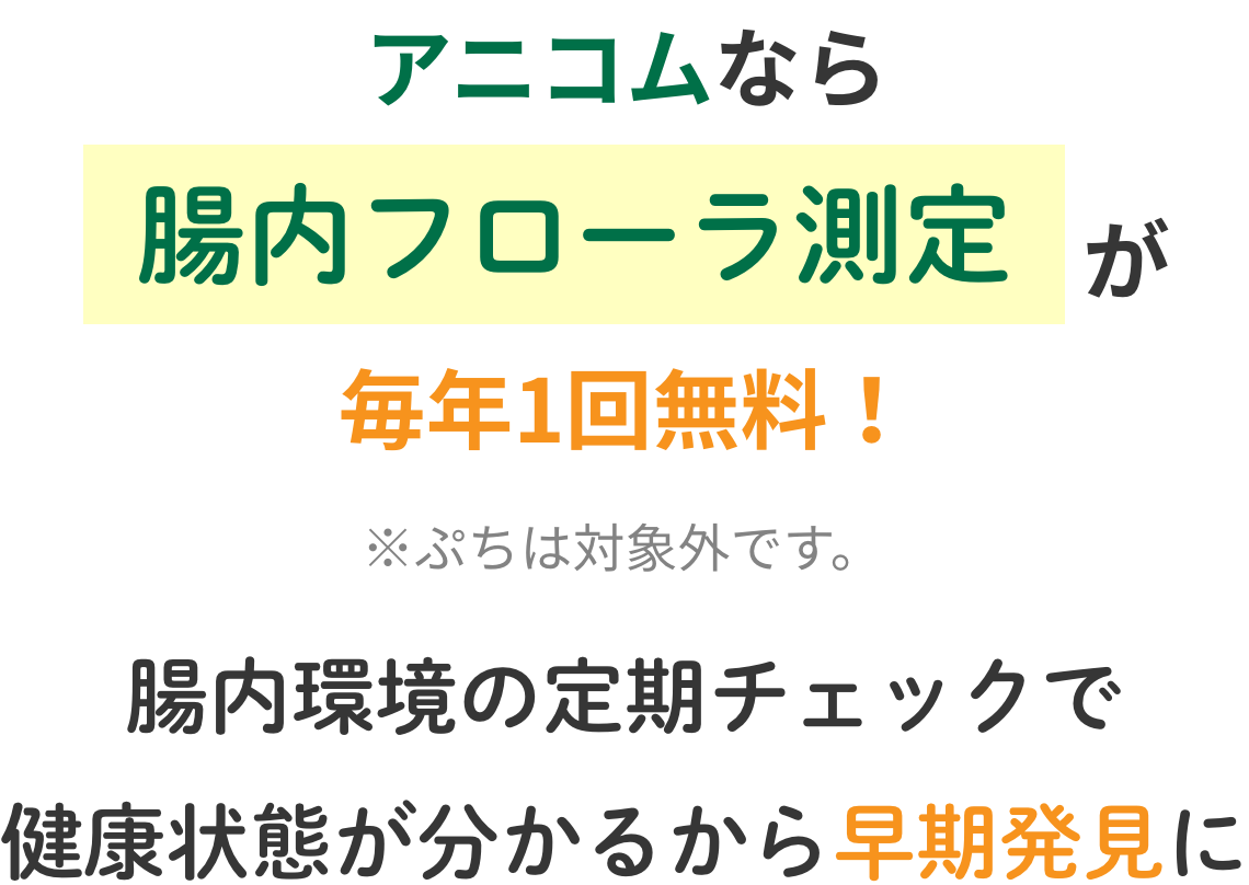アニコムなら腸内フローラ測定が毎年1回無料！ ※ぷちは対象外です。 腸内環境の定期チェックで健康状態が分かるから早期発見に