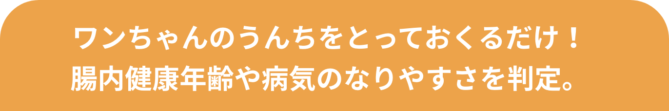 ワンちゃんのうんちをとっておくるだけ！腸内健康年齢や病気のなりやすさを判定。
