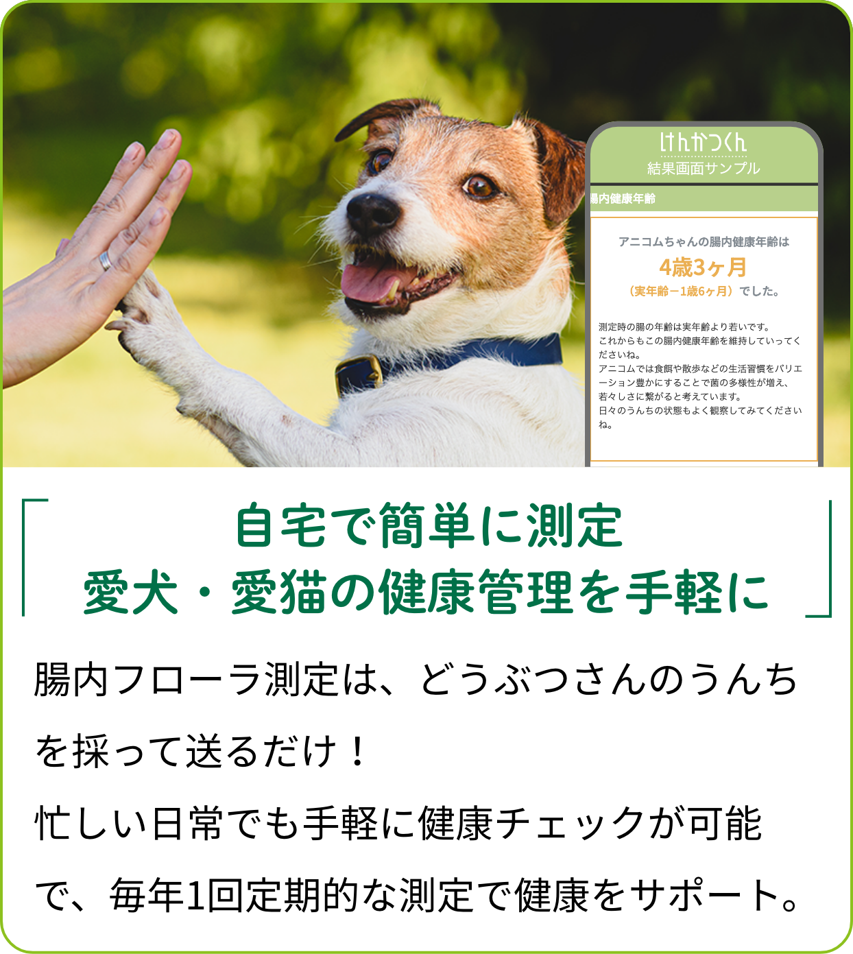 自宅で簡単に測定愛犬・愛猫の健康管理を手軽に