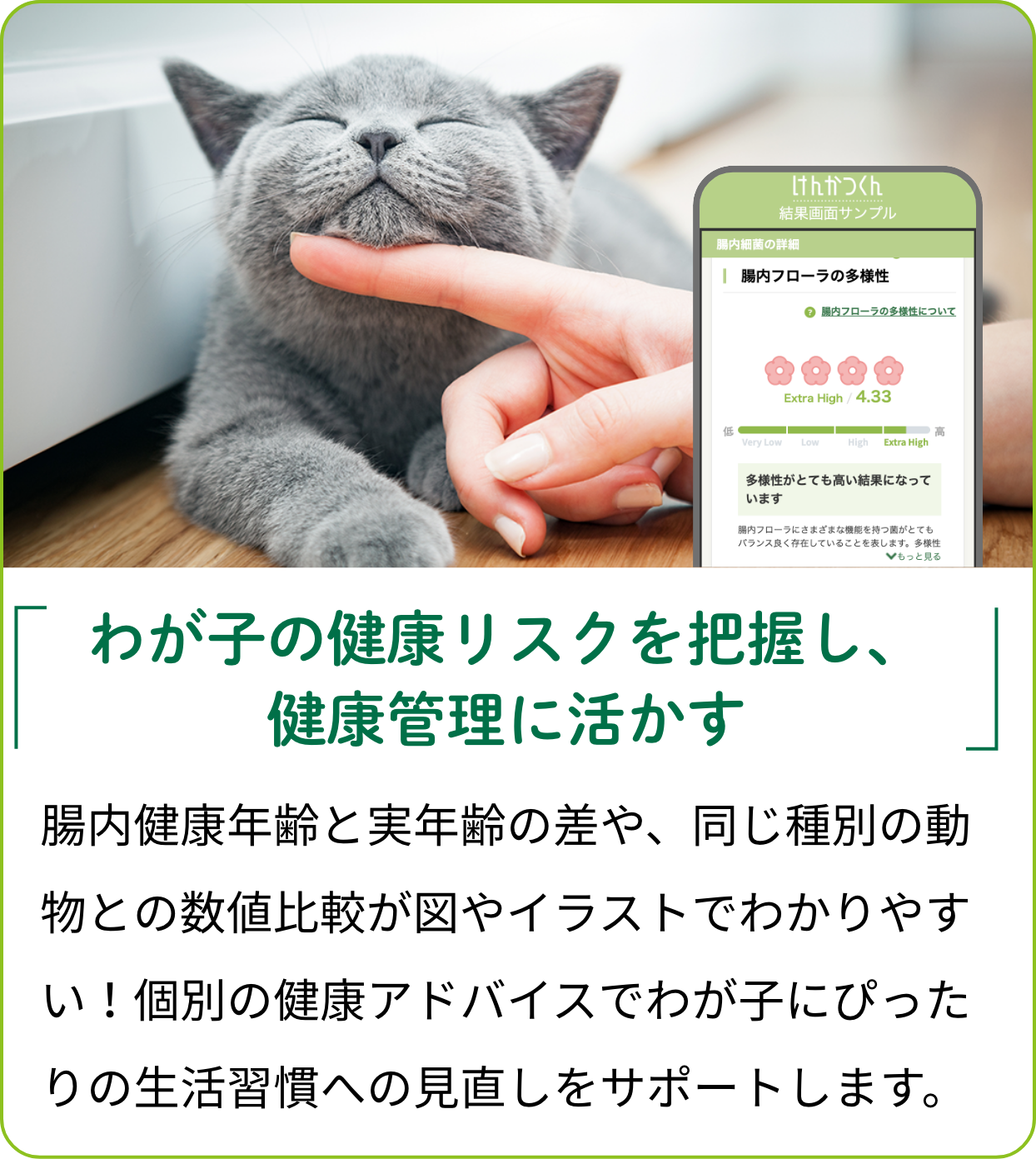 腸内フローラ測定で健康状態を見える化