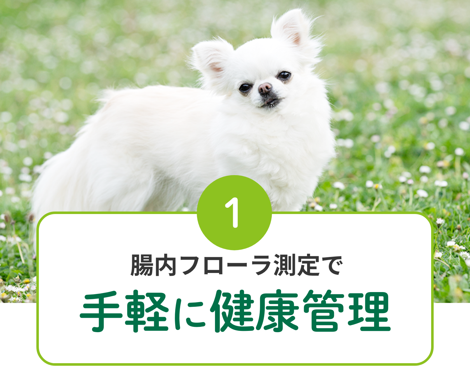 1 腸内フローラ測定で手軽に健康管理