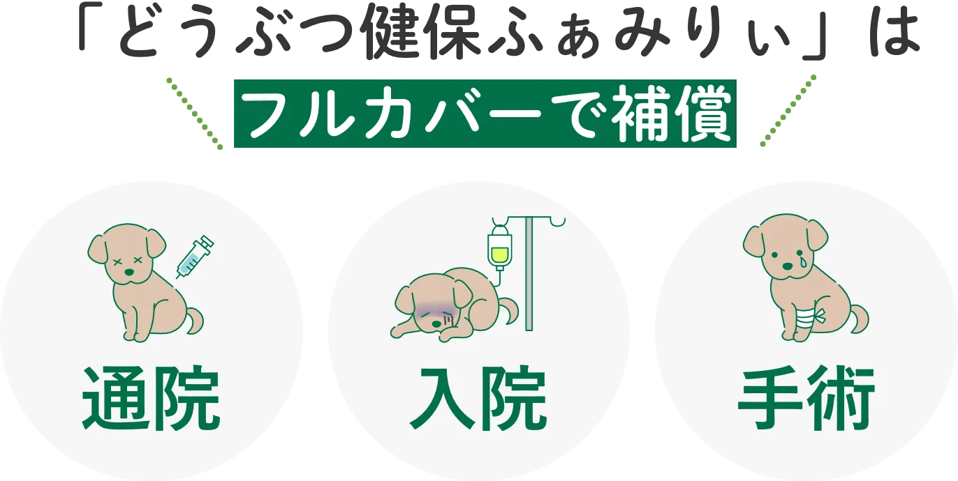 「どうぶつ健保ふぁみりぃ」はフルカバーで補償
