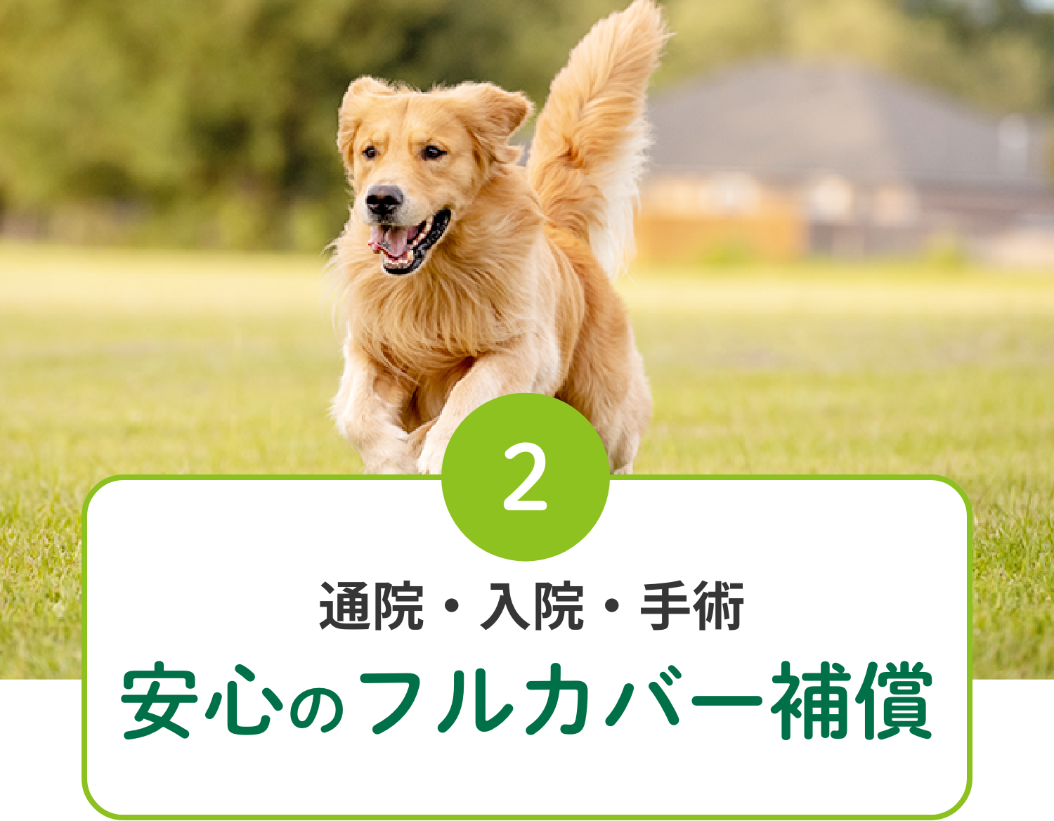 2 通院・入院・手術 安心のフルカバー補償