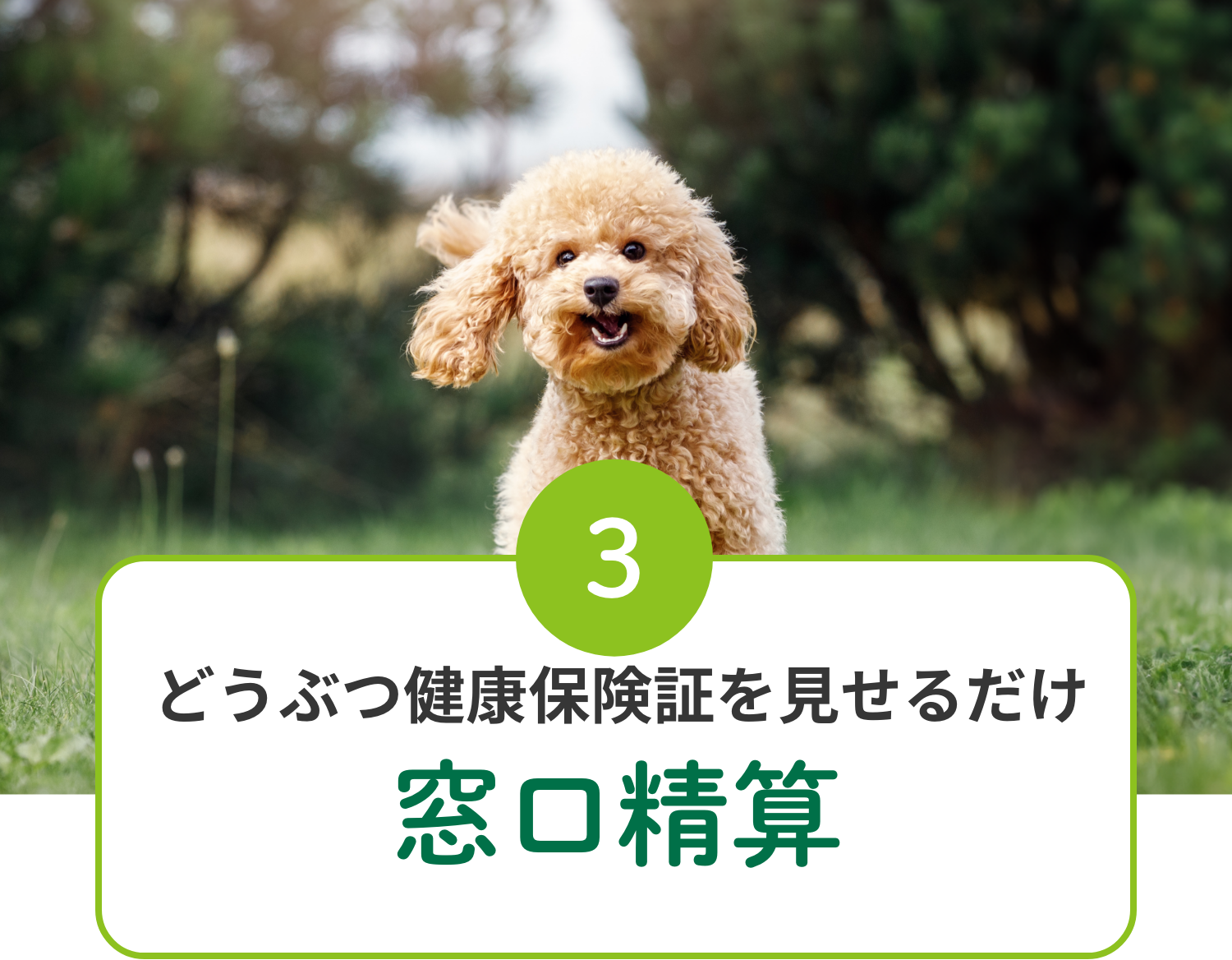 3 どうぶつ健康保険証を見せるだけ窓口精算