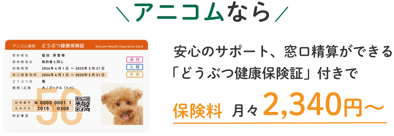 アニコムなら安心のサポート、窓口精算ができる「どうぶつ健康保険証」付きで保険料月々2,340円〜