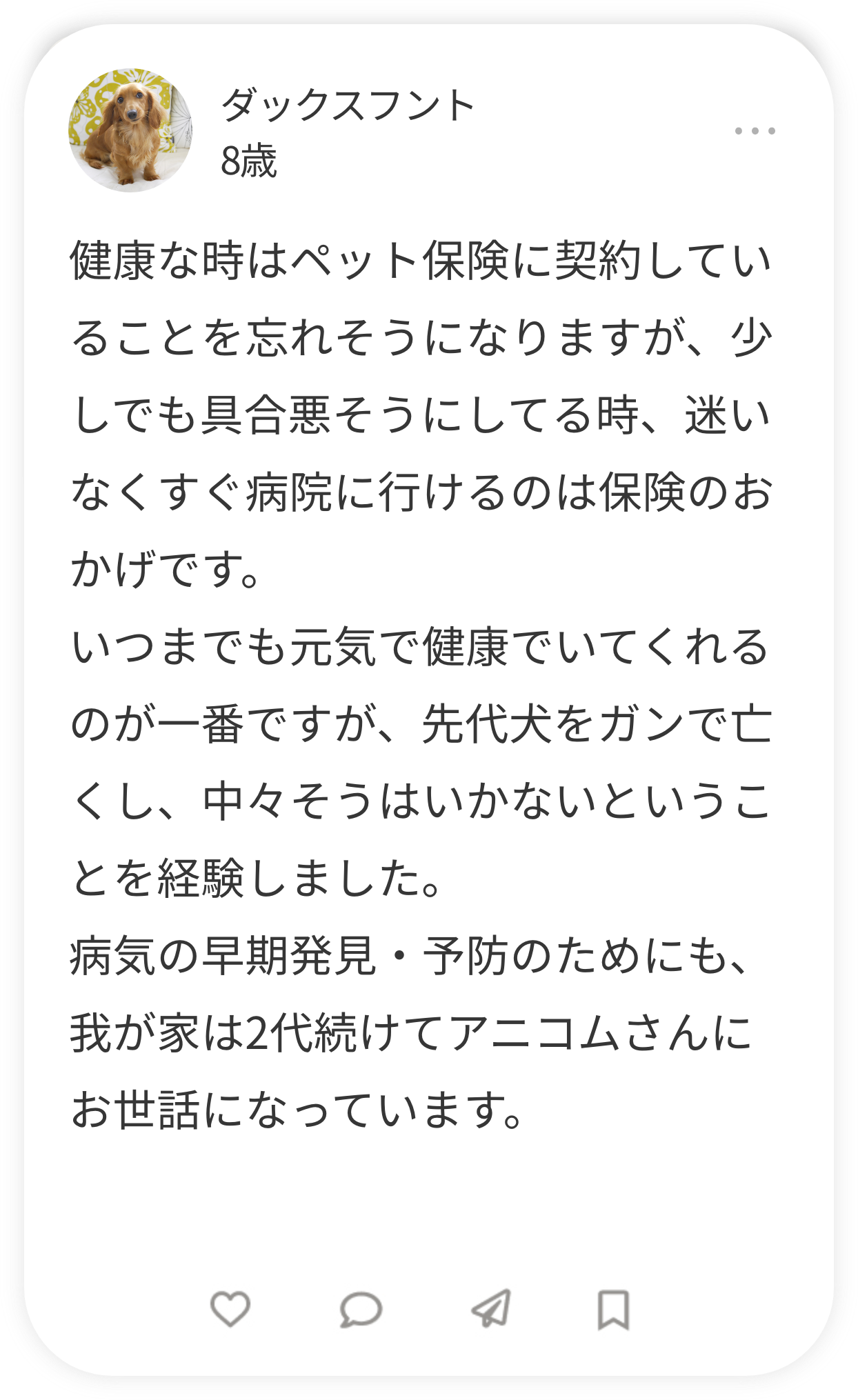 ゴールデンレトリバー 8歳