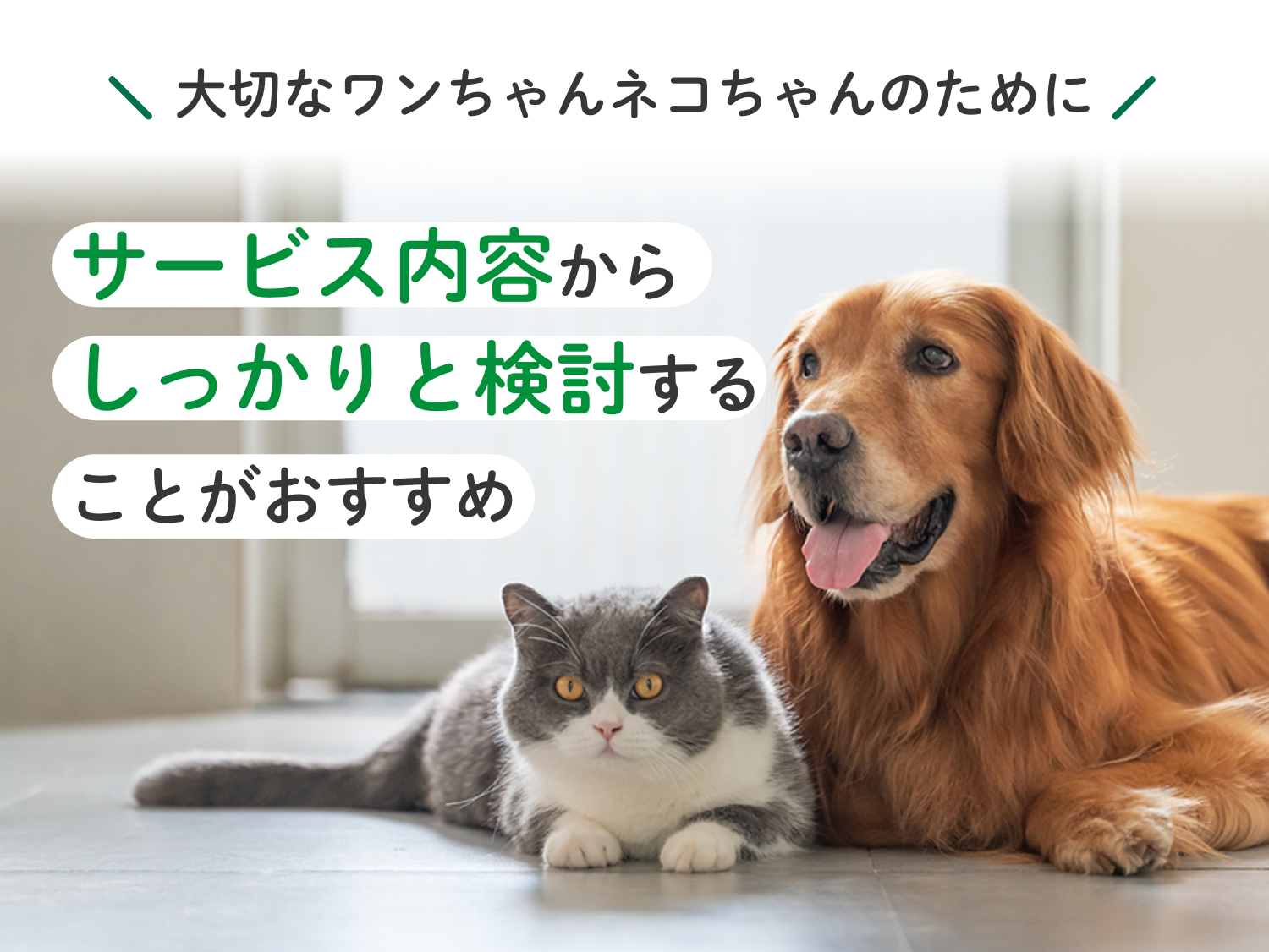 大切なワンちゃんネコちゃんのために サービス内容からしっかりと検討することがおすすめ