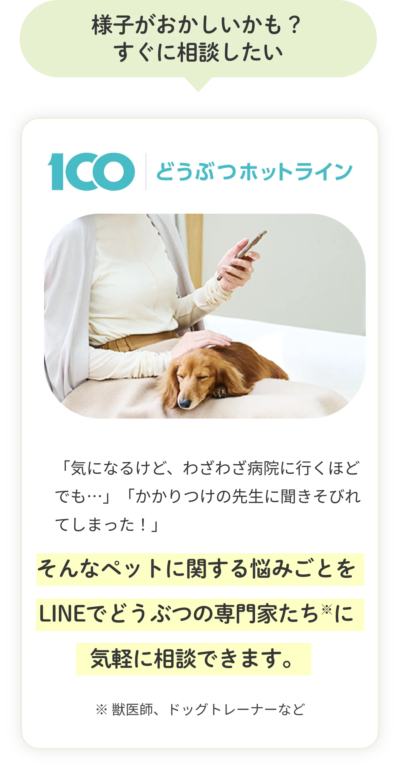 様子がおかしいかも？すぐに相談したい