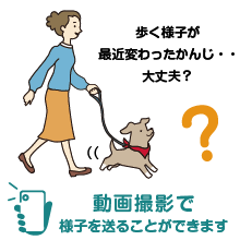 病院に行くか迷った時に、写真や動画で具体的に相談できる！