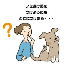 先生に聞き忘れたことも、気軽に相談できる！