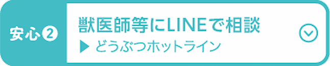 ペット保険証をみせるだけ どうぶつ健康保険証