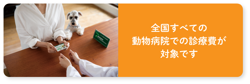 全国すべての動物病院での診療費が対象です