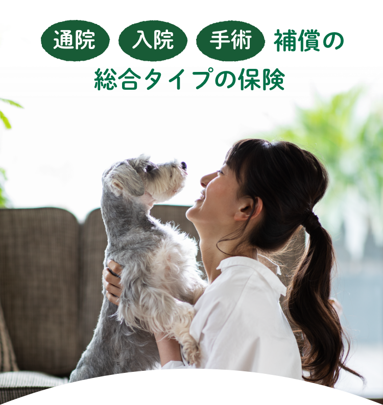 通院 入院 手術 補償の総合タイプの保険