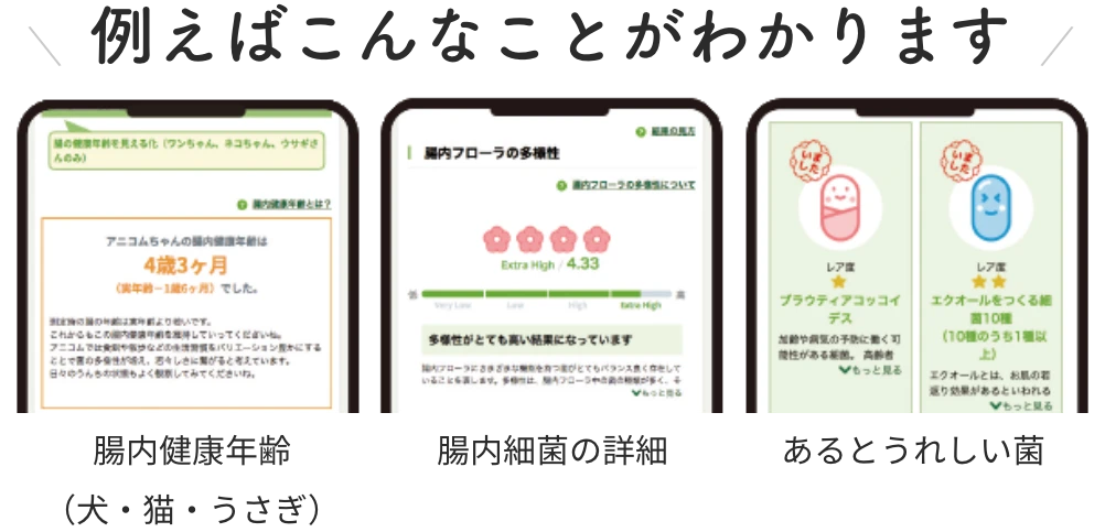 例えばこんなことがわかります（腸内健康年齢（犬・猫・うさぎ）／腸内細菌の詳細／あるとうれしい菌）