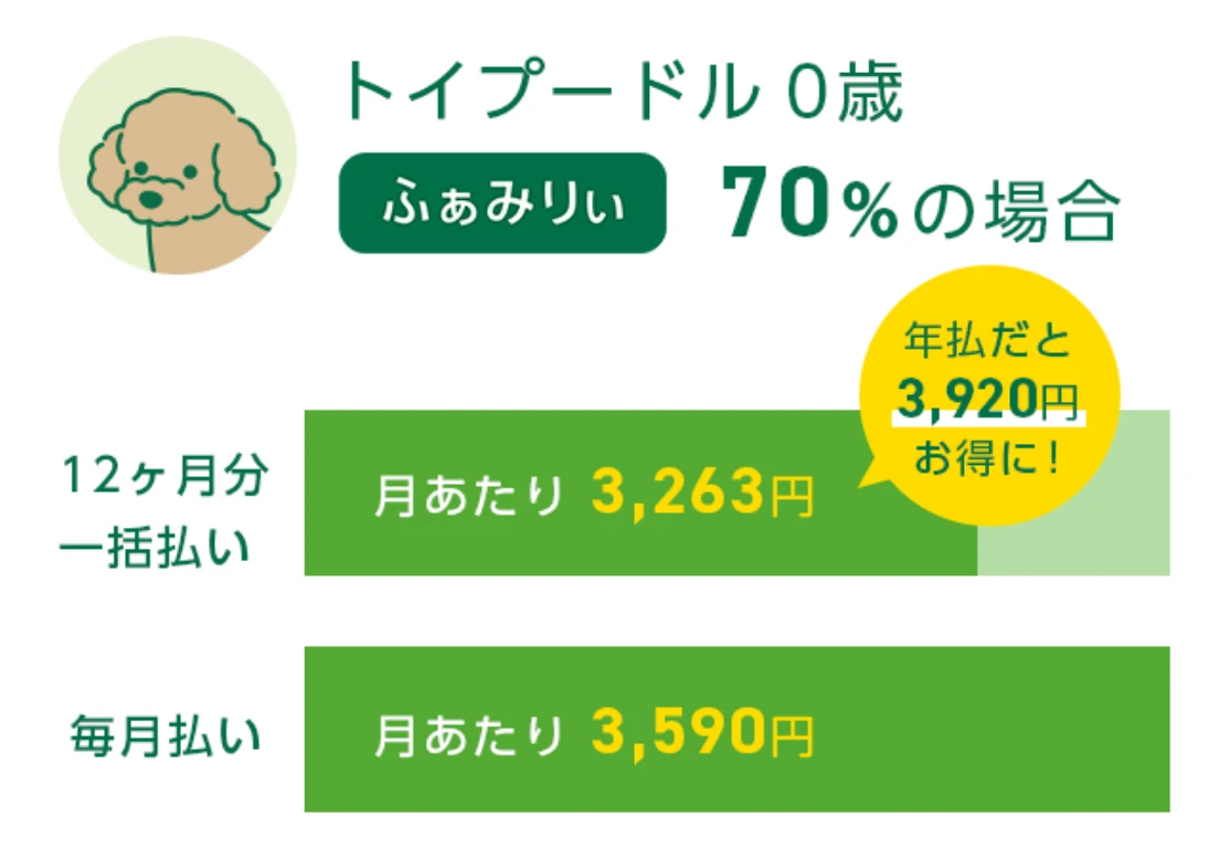 トイプードル0歳【ふぁみりぃ】の場合