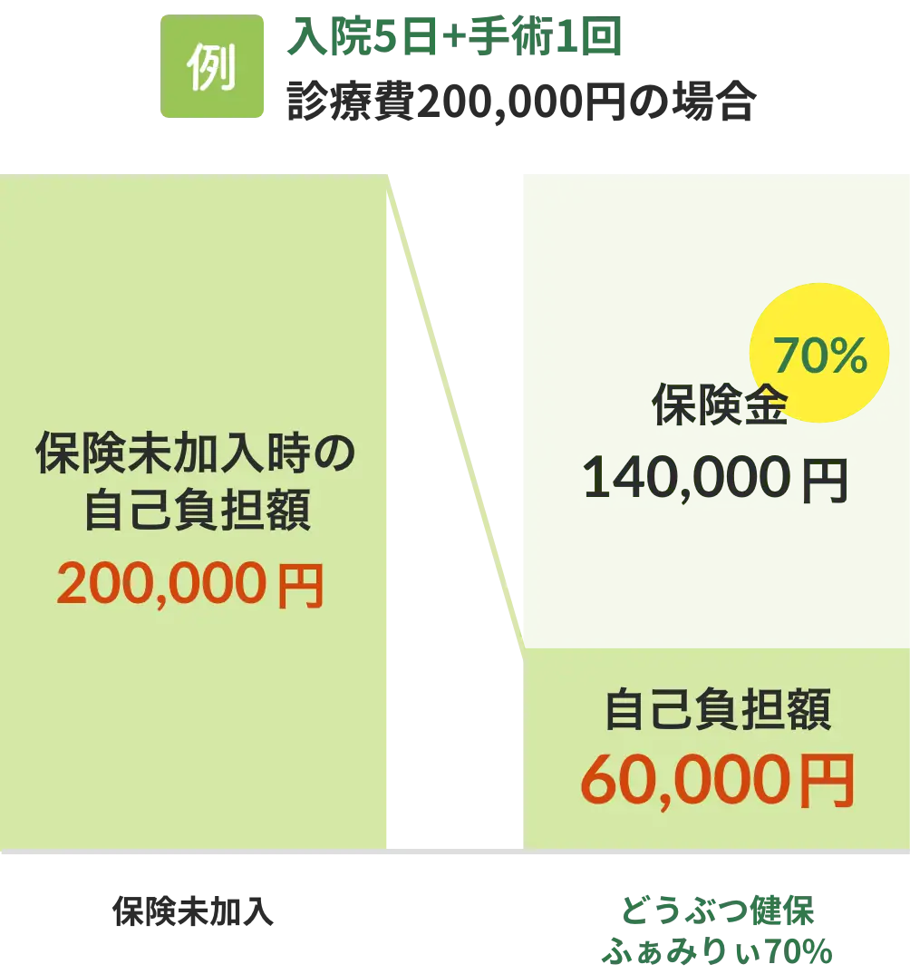 （例）入院5日+手術1回 診療費200,000円の場合