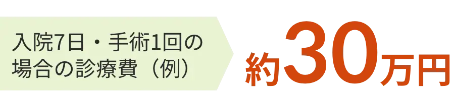 入院7日・手術1回の場合の診療費（例） 約30万円