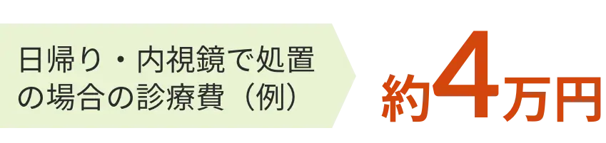 日帰り・内視鏡で処置の場合の診療費（例） 約4万円