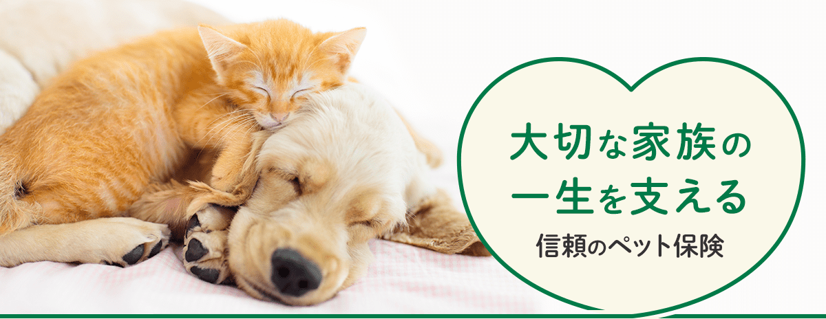 大切な家族の一生を支える 信頼のペット保険
