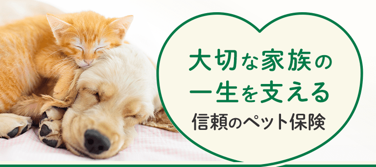 大切な家族の一生を支える 信頼のペット保険