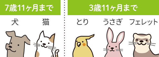 7歳11ヶ月まで：犬・猫、3歳11ヶ月まで：鳥・ウサギ・フェレット