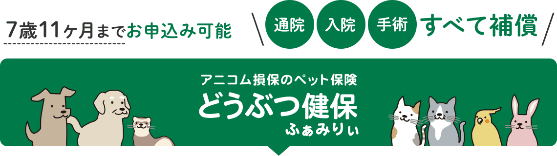 どうぶつ健保ふぁみりぃ
