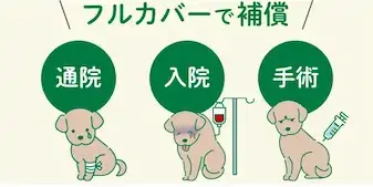 フルカバーで補償