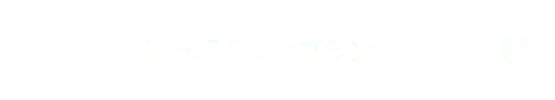 選べる2つのプラン