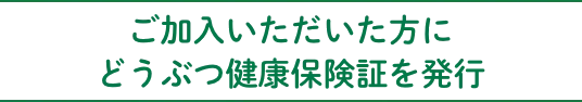 ご加入いただいた方にどうぶつ健康保険証を発行