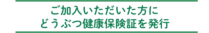 ご加入いただいた方にどうぶつ健康保険証を発行