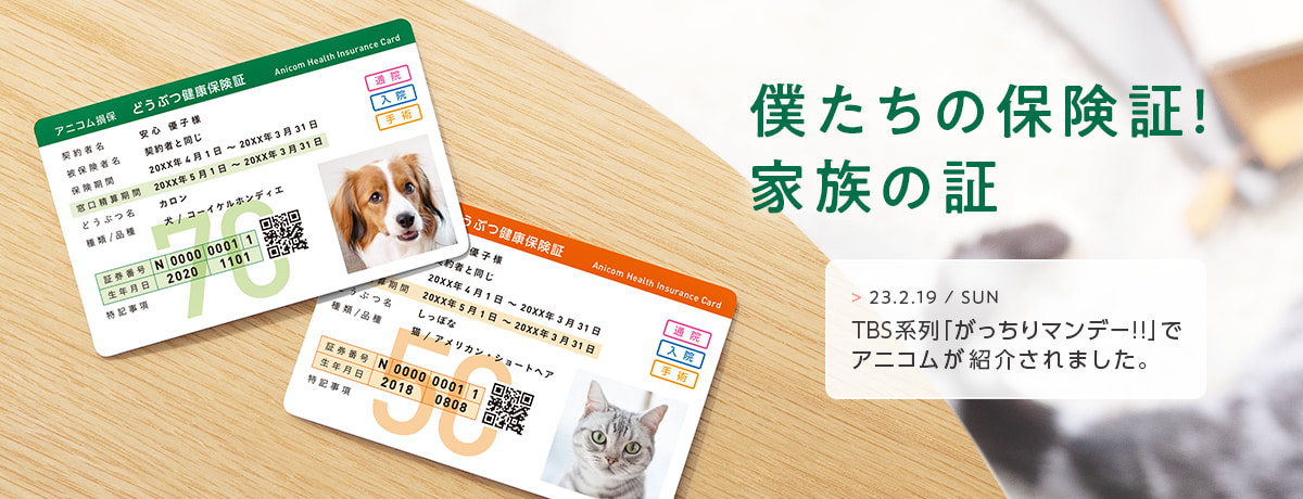 僕たちの保険証！家族の証 23.2.19/SUN TBS系列「がっちりマンデー！！」でアニコムが紹介されました。