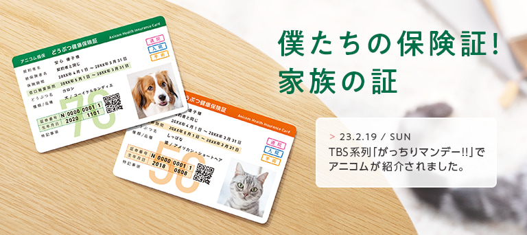 僕たちの保険証！家族の証 23.2.19/SUN TBS系列「がっちりマンデー！！」でアニコムが紹介されました。