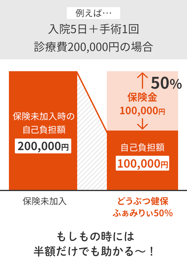 もしもの時には半額だけでも助かる～！