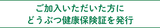 ご加入いただいた方にどうぶつ健康保険証を発行