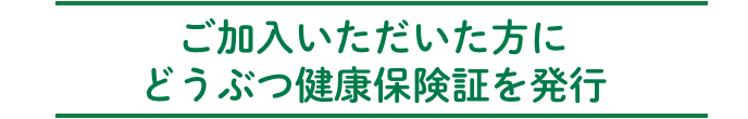 ご加入いただいた方にどうぶつ健康保険証を発行