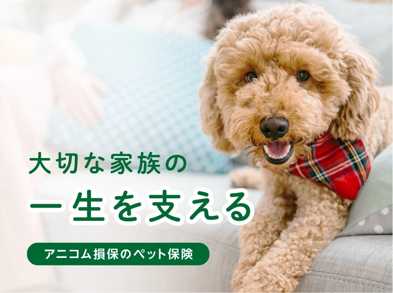 大切な家族の一生を支える 信頼のペット保険